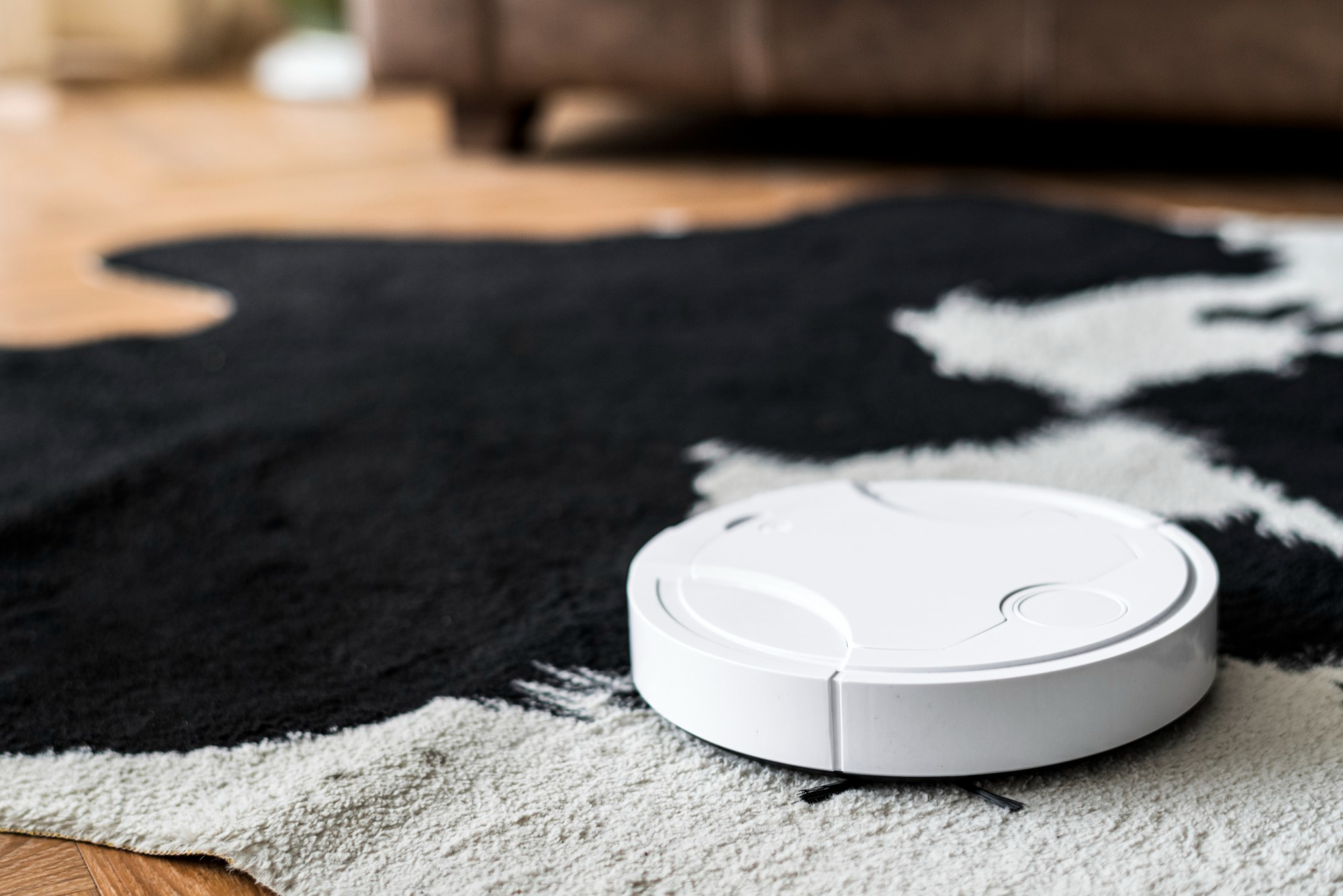 Roomba Vs Eufy Which Is Best And Why?
