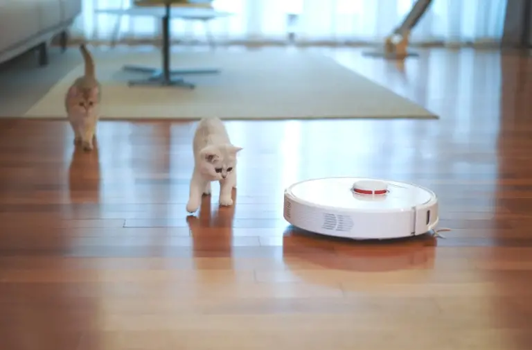 Best-Robot-Vacuum-for-Wood-Floors