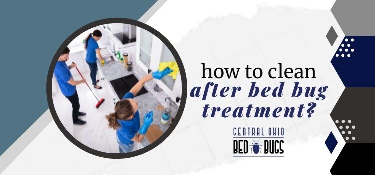 How To Clean After Bed Bug Treatment?