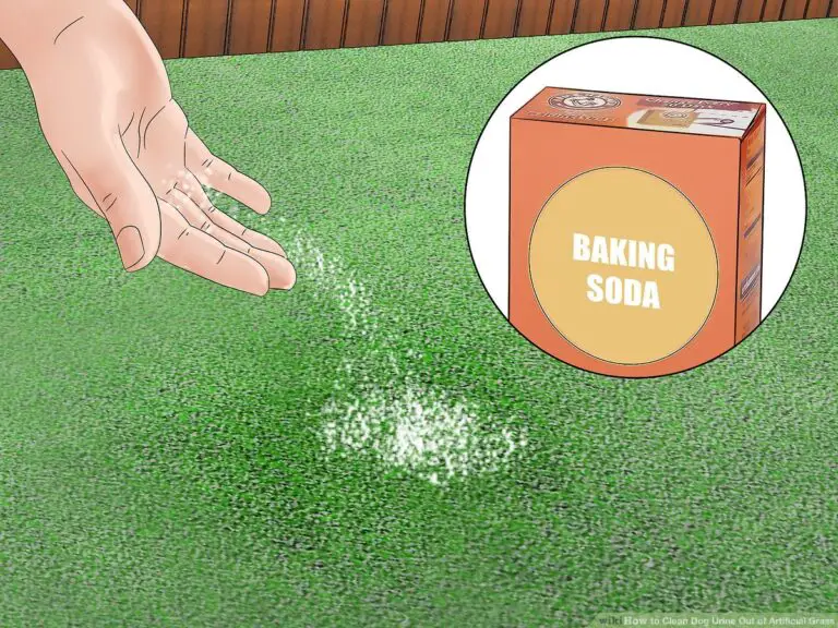 How To Clean Turf Grass From Dog Pee?