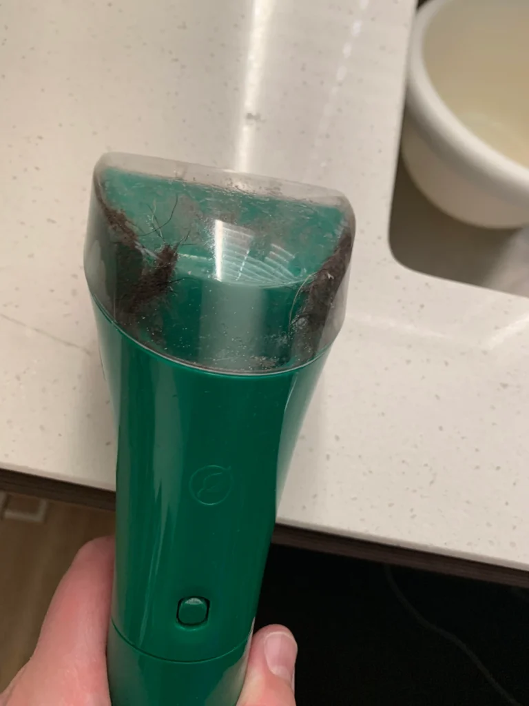 How To Clean Bissell Little Green Head?