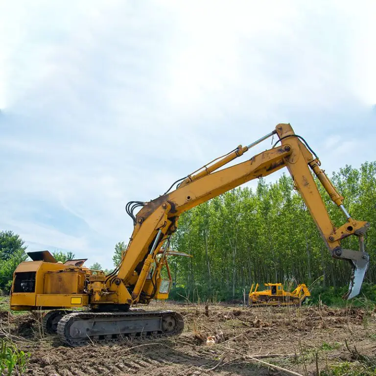 How To Clean Up After Forestry Mulching?