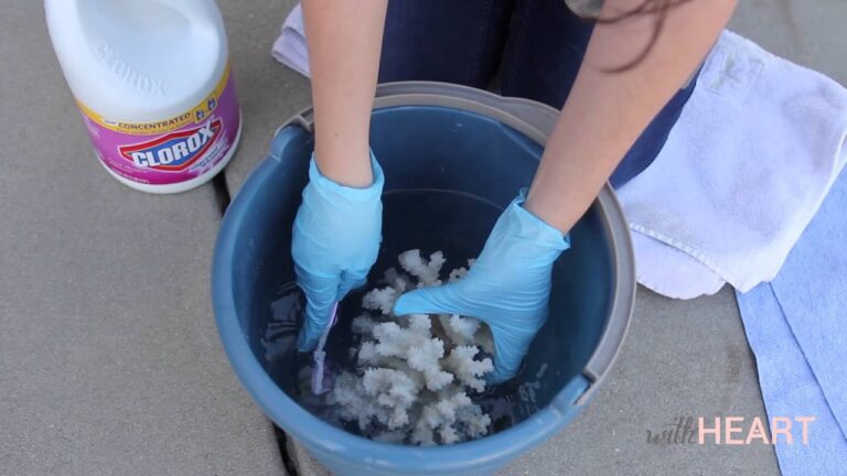 How To Clean Coral Rock?