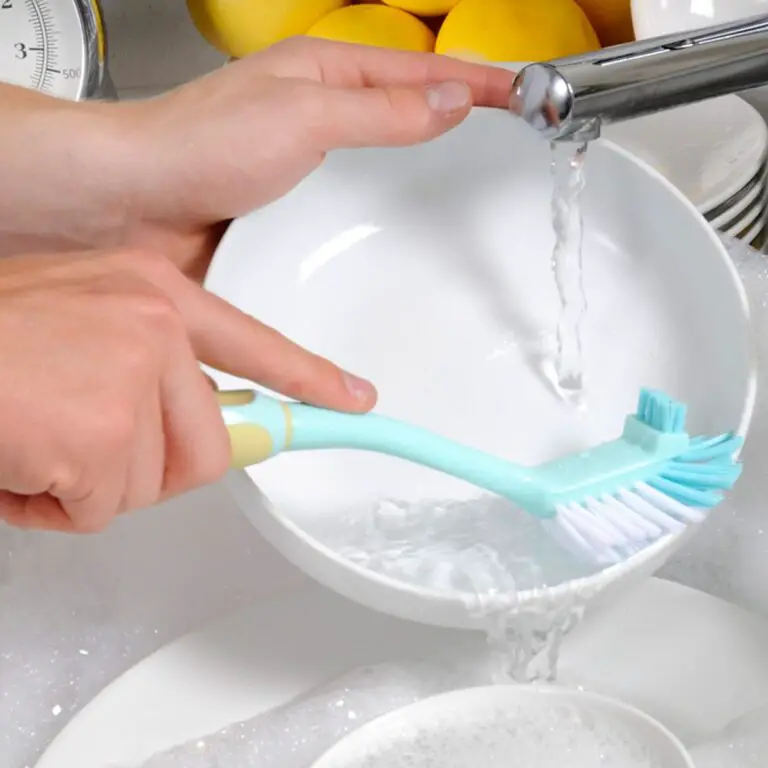 How To Clean A Dish Brush?