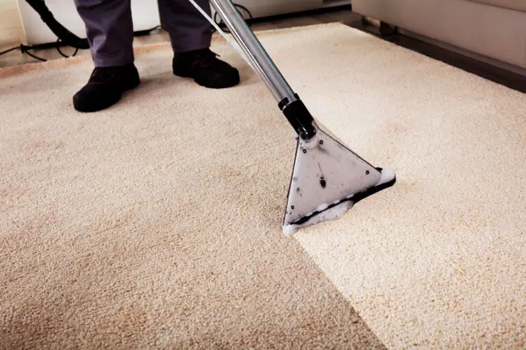 How Long Does Carpet Take To Dry After Steam Cleaning?