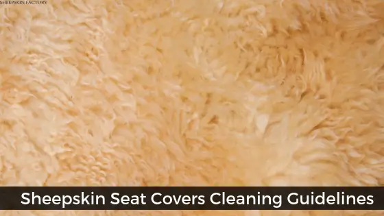 How To Clean Sheepskin Seat Covers?