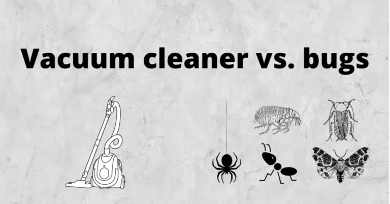 Can Moths Live In Vacuum Cleaner?