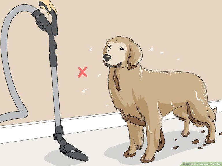 Can I Use A Vacuum Cleaner On My Dog?