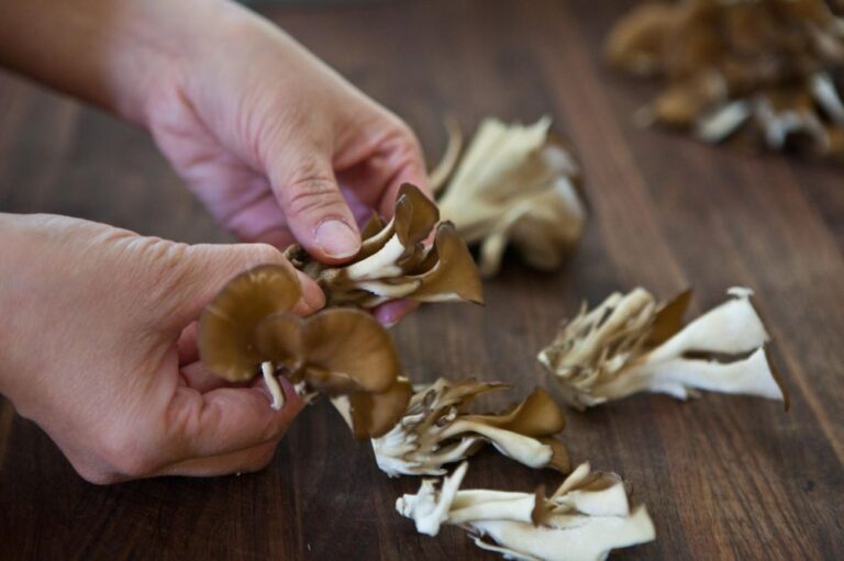 How To Clean Maitake Mushrooms?