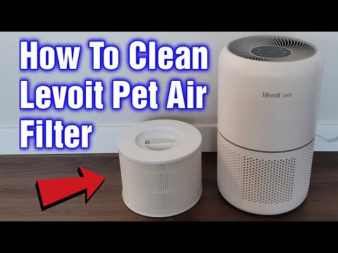 How To Clean Levoit Air Purifier?