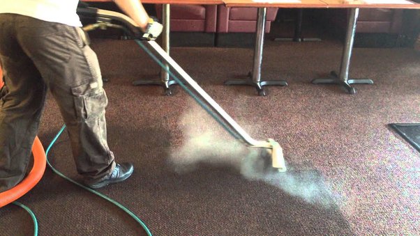 Does Steam Cleaning Kill Mold in Carpet?