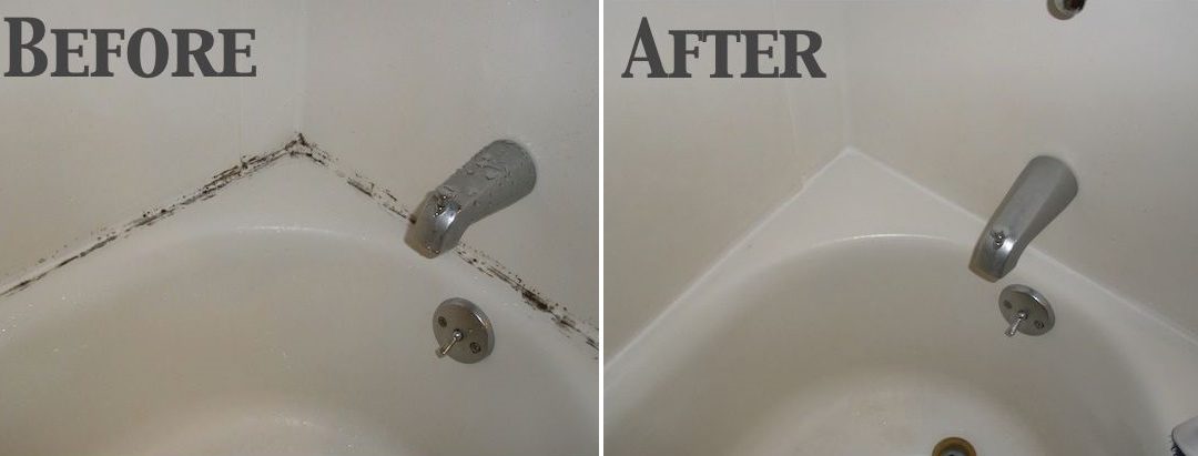 Does Steam Cleaning Kill Mold?
