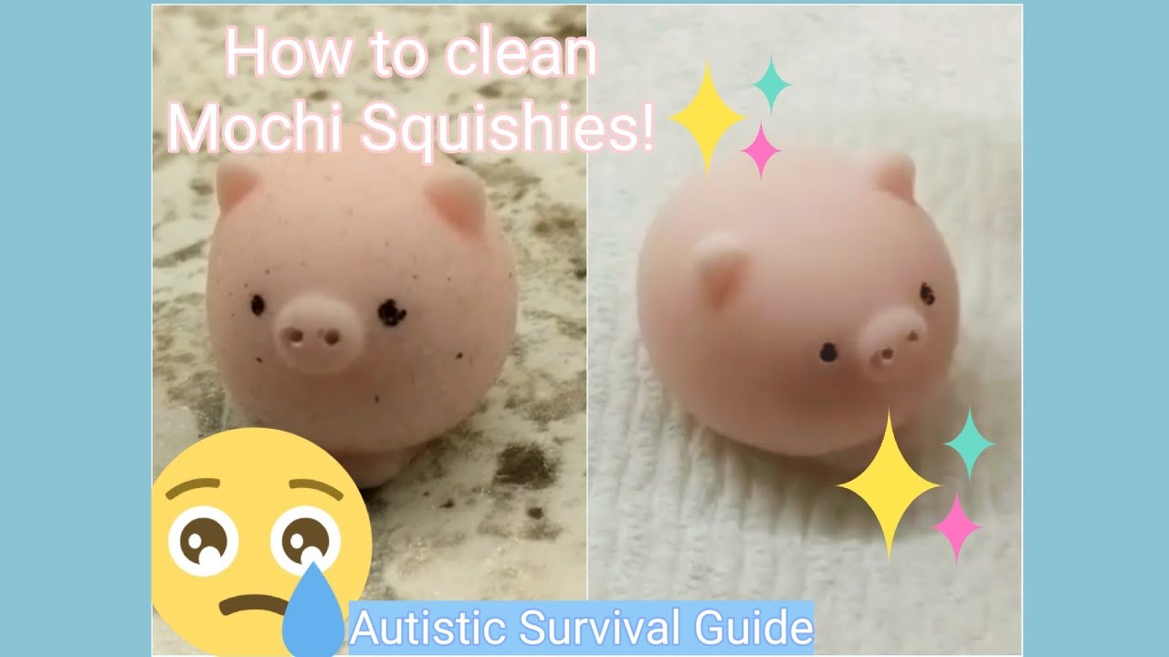 How to Clean a Mochi Toy?