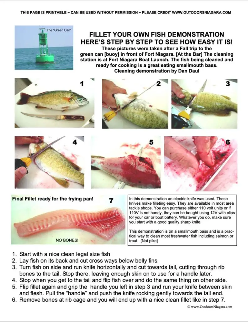 How to Clean a Smallmouth Bass?