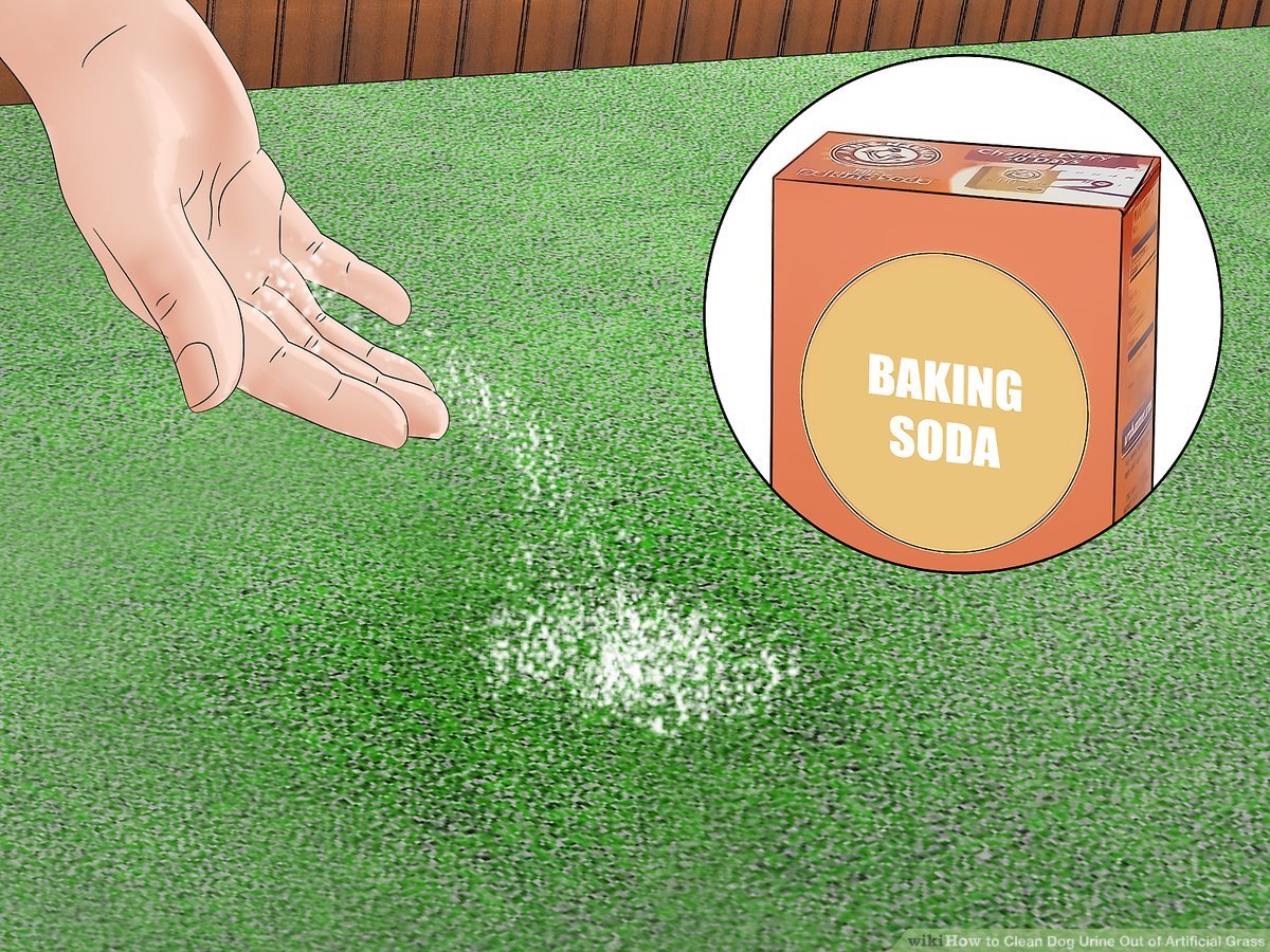 How to Clean Artificial Grass Dog Pee?