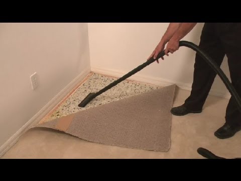 How to Clean Carpet Pad Without Removing Carpet?