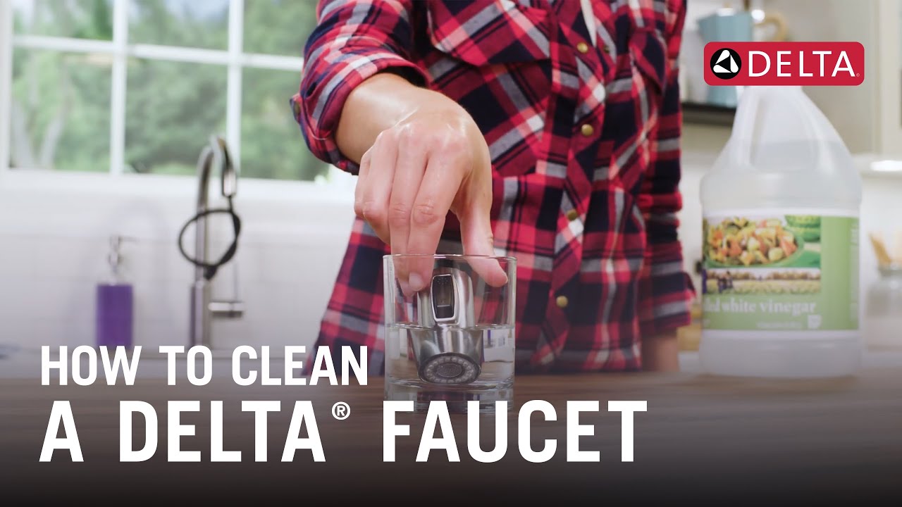 How to Clean Delta Kitchen Faucet Spray Head?