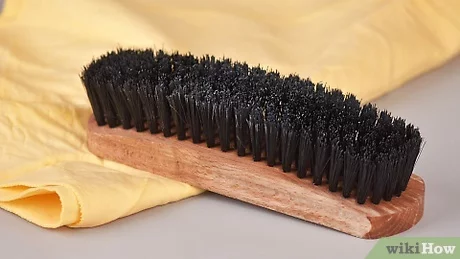 How to Clean Horse Hair Brush?
