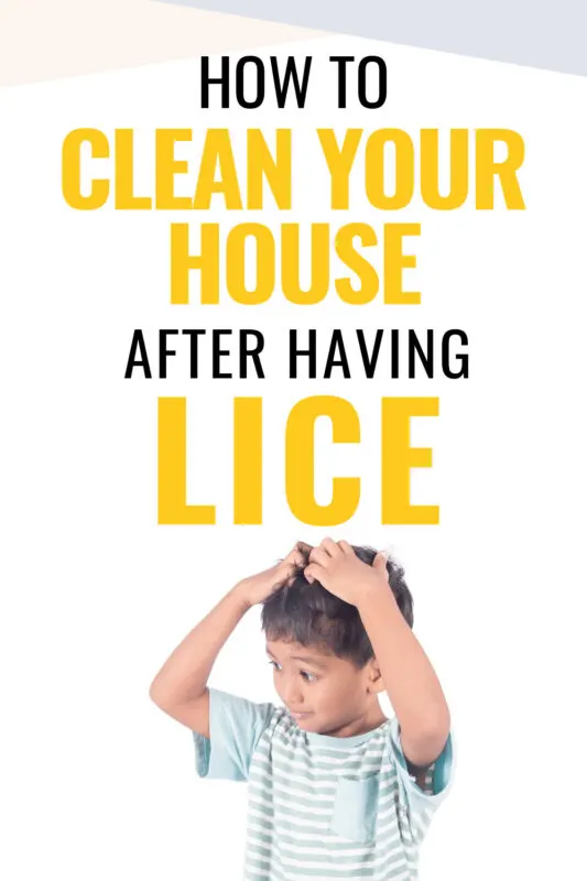 How to Clean House After Lice?