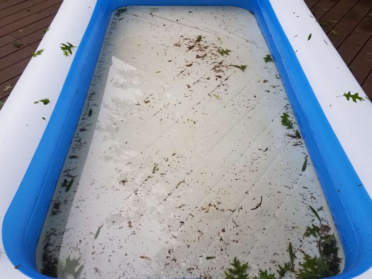 How to Clean Mold Off Inflatable Pool?