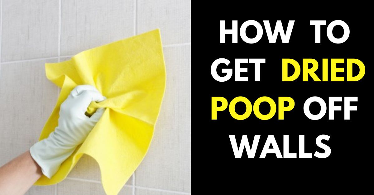 How to Clean Poop Off Walls?