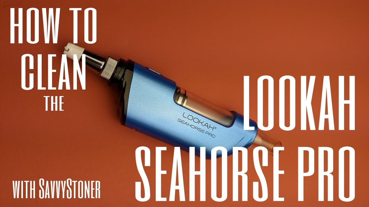 How to Clean Seahorse Pro Tip?