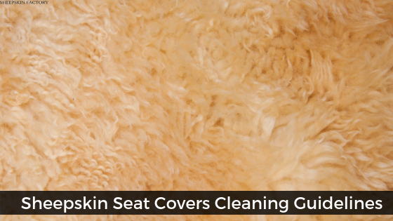 How to Clean Sheepskin Seat Covers?