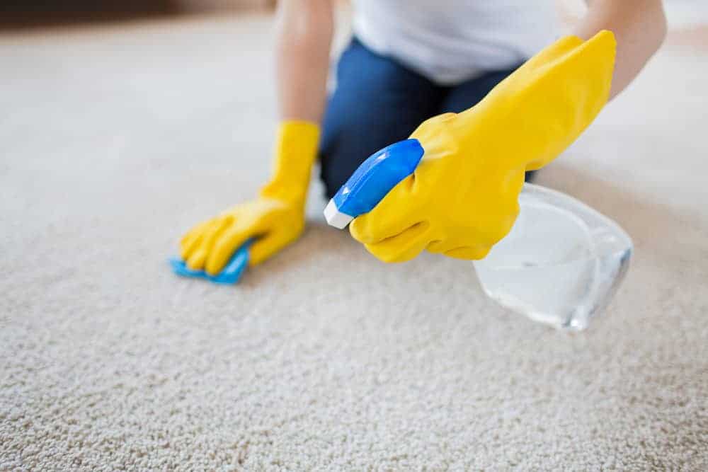 How to Sanitize Carpet Without Steam Cleaner?