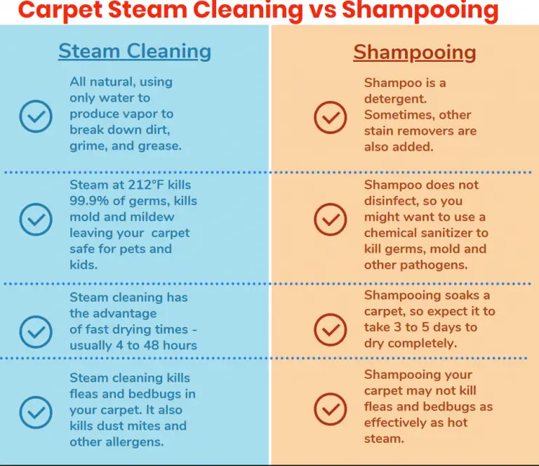 Is Steam Cleaning Carpet Better Than Shampooing?